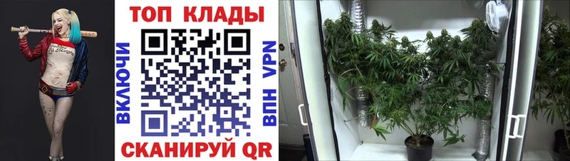 Наркотические вещества Воркута COCAIN  Меф мяу мяу  СК  Бошки Шишки  Гашиш 