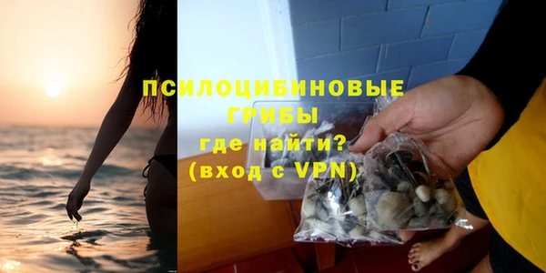 MDMA Premium VHQ Бородино