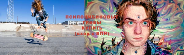 прущие грибы Верхнеуральск