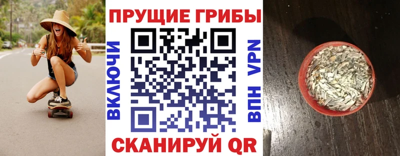 mega ССЫЛКА  Воркута  Псилоцибиновые грибы ЛСД 