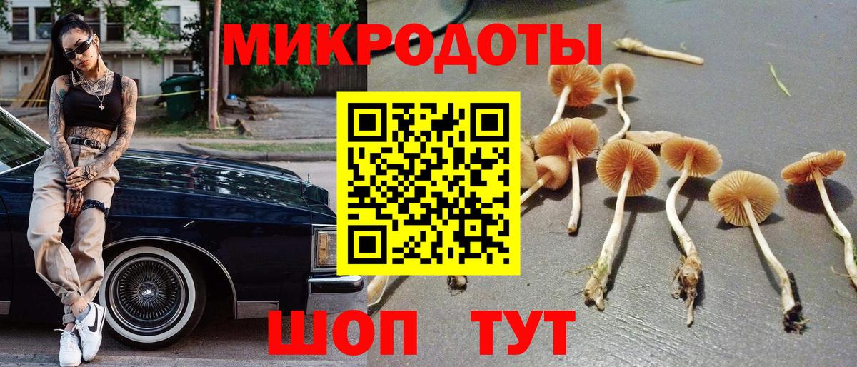Псилоцибиновые грибы мицелий  Вход с VPN  Воркута  Галлюциногенные грибы MAGIC MUSHROOMS 